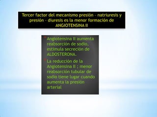 *Angiotensina II aumenta
reabsorción de sodio,
estimula secreción de
ALDOSTERONA.
*La reducción de la
Angiotensina II ; menor
reabsorción tubular de
sodio tiene lugar cuando
aumenta la presión
arterial
Tercer factor del mecanismo presión – natriuresis y
presión – diuresis es la menor formación de
ANGIOTENSINA II
 