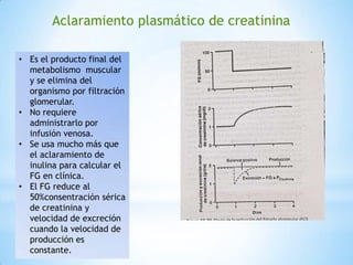 Aclaramiento plasmático de creatinina
• Es el producto final del
metabolismo muscular
y se elimina del
organismo por filtración
glomerular.
• No requiere
administrarlo por
infusión venosa.
• Se usa mucho más que
el aclaramiento de
inulina para calcular el
FG en clínica.
• El FG reduce al
50%consentración sérica
de creatinina y
velocidad de excreción
cuando la velocidad de
producción es
constante.
 