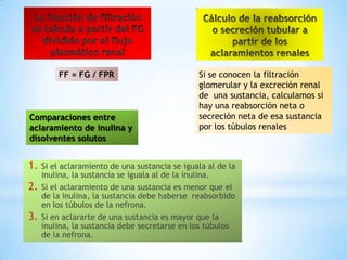 1. Si el aclaramiento de una sustancia se iguala al de la
inulina, la sustancia se iguala al de la inulina.
2. Si el aclaramiento de una sustancia es menor que el
de la inulina, la sustancia debe haberse reabsorbido
en los túbulos de la nefrona.
3. Si en aclararte de una sustancia es mayor que la
inulina, la sustancia debe secretarse en los túbulos
de la nefrona.
FF = FG / FPR Si se conocen la filtración
glomerular y la excreción renal
de una sustancia, calculamos si
hay una reabsorción neta o
secreción neta de esa sustancia
por los túbulos renales
Comparaciones entre
aclaramiento de inulina y
disolventes solutos
 