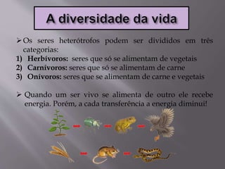 Os seres heterótrofos podem ser divididos em três
categorias:
1) Herbívoros: seres que só se alimentam de vegetais
2) Carnívoros: seres que só se alimentam de carne
3) Onívoros: seres que se alimentam de carne e vegetais
 Quando um ser vivo se alimenta de outro ele recebe
energia. Porém, a cada transferência a energia diminui!
 