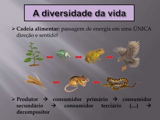 Cadeia alimentar: passagem de energia em uma ÚNICA
direção e sentido!
Produtor  consumidor primário  consumidor
secundário  consumidor terciário (....) 
decompositor
 