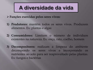 Funções exercidas pelos seres vivos:
1) Produtores: mantêm todos os seres vivos. Produzem
alimentos. Ex: plantas e algas
2) Consumidores: Limitam o número de indivíduos
existentes na natureza. Ex: onça, rato, coelho, homem
3) Decompositores: realizam a limpeza do ambiente
decompondo os seres vivos e incorporando os
nutrientes ao solo para ser reaproveitado pelas plantas.
Ex: fungos e bactérias
 
