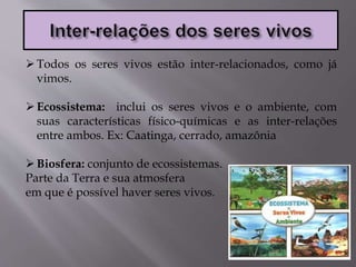 Todos os seres vivos estão inter-relacionados, como já
vimos.
Ecossistema: inclui os seres vivos e o ambiente, com
suas características físico-químicas e as inter-relações
entre ambos. Ex: Caatinga, cerrado, amazônia
Biosfera: conjunto de ecossistemas.
Parte da Terra e sua atmosfera
em que é possível haver seres vivos.
 