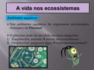 Nos ambientes aquáticos há organismos microscópios
chamados de Plâncton!
O plâncton pode ser dividido em duas categorias:
1) Zooplâncton: animais  larvas, microcrustáceos...
2) Fitoplâncton: pequenas algas  realizam fotossíntese!!
Ambientes aquáticos
 