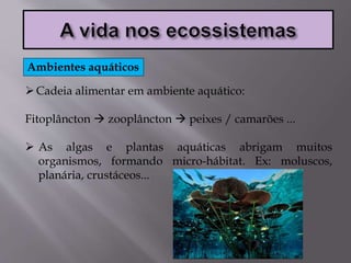 Cadeia alimentar em ambiente aquático:
Fitoplâncton  zooplâncton  peixes / camarões ...
 As algas e plantas aquáticas abrigam muitos
organismos, formando micro-hábitat. Ex: moluscos,
planária, crustáceos...
Ambientes aquáticos
 