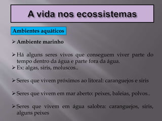 Ambiente marinho
Há alguns seres vivos que conseguem viver parte do
tempo dentro da água e parte fora da água.
Ex: algas, siris, moluscos..
Seres que vivem próximos ao litoral: caranguejos e siris
Seres que vivem em mar aberto: peixes, baleias, polvos..
Seres que vivem em água salobra: caranguejos, siris,
alguns peixes
Ambientes aquáticos
 