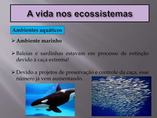 Ambiente marinho
Baleias e sardinhas estavam em processo de extinção
devido à caça extrema!
Devido a projetos de preservação e controle da caça, esse
número já vem aumentando.
Ambientes aquáticos
 