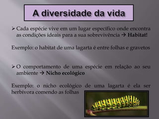 Cada espécie vive em um lugar específico onde encontra
as condições ideais para a sua sobrevivência  Habitat!
Exemplo: o habitat de uma lagarta é entre folhas e gravetos
O comportamento de uma espécie em relação ao seu
ambiente  Nicho ecológico
Exemplo: o nicho ecológico de uma lagarta é ela ser
herbívora comendo as folhas
 