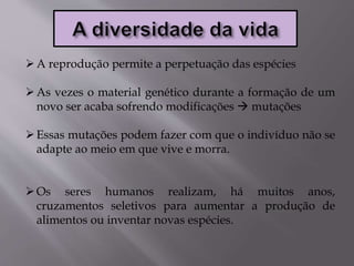A reprodução permite a perpetuação das espécies
As vezes o material genético durante a formação de um
novo ser acaba sofrendo modificações  mutações
Essas mutações podem fazer com que o indivíduo não se
adapte ao meio em que vive e morra.
Os seres humanos realizam, há muitos anos,
cruzamentos seletivos para aumentar a produção de
alimentos ou inventar novas espécies.
 