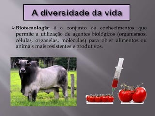 Biotecnologia: é o conjunto de conhecimentos que
permite a utilização de agentes biológicos (organismos,
células, organelas, moléculas) para obter alimentos ou
animais mais resistentes e produtivos.
 