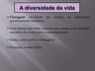 Clonagem: produção de células ou indivíduos
geneticamente idênticos.
Para formar um bebê é preciso que ocorra a fecundação:
encontro do óvulo com o espermatozoide.
Então, como ocorre a clonagem?
Exemplo: ovelha Dolly
 