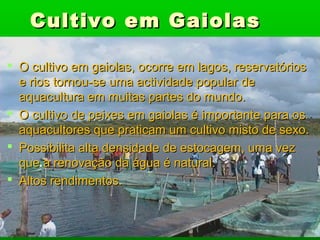 Cultivo em GaiolasCultivo em Gaiolas
 O cultivo em gaiolas, ocorre em lagos, reservatóriosO cultivo em gaiolas, ocorre em lagos, reservatórios
e rios tornou-se uma actividade popular dee rios tornou-se uma actividade popular de
aquacultura em muitas partes do mundo.aquacultura em muitas partes do mundo.
 O cultivo de peixes em gaiolas é importante para osO cultivo de peixes em gaiolas é importante para os
aquacultores que praticam um cultivo misto de sexo.aquacultores que praticam um cultivo misto de sexo.
 Possibilita alta densidade de estocagem, uma vezPossibilita alta densidade de estocagem, uma vez
que a renovação da água é natural.que a renovação da água é natural.
 Altos rendimentos.Altos rendimentos.
 