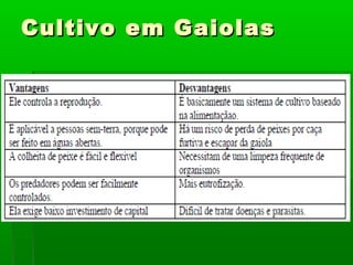 Cultivo em GaiolasCultivo em Gaiolas
 