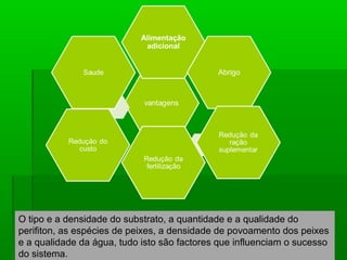 O tipo e a densidade do substrato, a quantidade e a qualidade do
perifiton, as espécies de peixes, a densidade de povoamento dos peixes
e a qualidade da água, tudo isto são factores que influenciam o sucesso
do sistema.
 