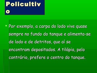 PolicultivPolicultiv
oo
 Por exemplo, a carpa do lodo vive quasePor exemplo, a carpa do lodo vive quase
sempre no fundo do tanque e alimenta-sesempre no fundo do tanque e alimenta-se
de lodo e de detritos, que aí sede lodo e de detritos, que aí se
encontram depositados. A tilápia, peloencontram depositados. A tilápia, pelo
contrário, prefere o centro do tanque.contrário, prefere o centro do tanque.
 