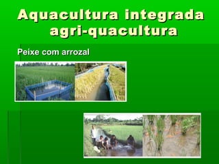 Aquacultura integradaAquacultura integrada
agri-quaculturaagri-quacultura
Peixe com arrozalPeixe com arrozal
 
