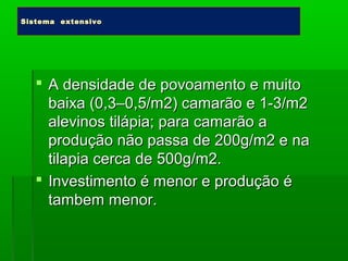  A densidade de povoamento e muitoA densidade de povoamento e muito
baixa (0,3–0,5/m2) camarão e 1-3/m2baixa (0,3–0,5/m2) camarão e 1-3/m2
alevinos tilápia; para camarão aalevinos tilápia; para camarão a
produção não passa de 200g/m2 e naprodução não passa de 200g/m2 e na
tilapia cerca de 500g/m2.tilapia cerca de 500g/m2.
 Investimento é menor e produção éInvestimento é menor e produção é
tambem menor.tambem menor.
Sistema extensivoSistema extensivo
 