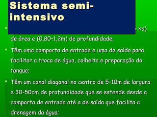 Os tanques são em geral rectangulares com (1–6 ha)Os tanques são em geral rectangulares com (1–6 ha)
de áreade área e (0,80–1,2m) de profundidade;e (0,80–1,2m) de profundidade;
 Têm uma comporta de entrada e uma de saída paraTêm uma comporta de entrada e uma de saída para
facilitar a troca de água, colheita e preparação dofacilitar a troca de água, colheita e preparação do
tanque;tanque;
 Têm um canal diagonal no centro de 5–10m de larguraTêm um canal diagonal no centro de 5–10m de largura
e 30-e 30-50cm de profundidade que se estende desde a50cm de profundidade que se estende desde a
comporta decomporta de entrada até a de saída que facilita aentrada até a de saída que facilita a
drenagem da água;drenagem da água;
Sistema semi-Sistema semi-
intensivointensivo
 