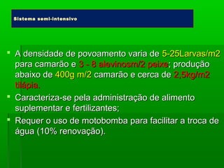  A densidade de povoamento varia deA densidade de povoamento varia de 5-25Larvas/m25-25Larvas/m2
para camarão epara camarão e 3 - 8 alevinosm/2 peixe3 - 8 alevinosm/2 peixe; produção; produção
abaixo deabaixo de 400g m/2400g m/2 camarão e cerca decamarão e cerca de 2,5kg/m22,5kg/m2
tilápia.tilápia.
 Caracteriza-se pela administração de alimentoCaracteriza-se pela administração de alimento
suplementar esuplementar e fertilizantes;fertilizantes;
 Requer o uso de motobomba para facilitar a troca deRequer o uso de motobomba para facilitar a troca de
águaágua (10% renovação).(10% renovação).
Sistema semi-intensivoSistema semi-intensivo
 