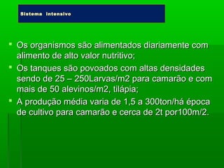  Os organismos são alimentados diariamente comOs organismos são alimentados diariamente com
alimento de altoalimento de alto valor nutritivo;valor nutritivo;
 Os tanques são povoados com altas densidadesOs tanques são povoados com altas densidades
sendo de 25 –sendo de 25 – 250Larvas/m2 para camarão e com250Larvas/m2 para camarão e com
mais de 50 alevinos/m2, tilápia;mais de 50 alevinos/m2, tilápia;
 A produção média varia de 1,5 a 300ton/há épocaA produção média varia de 1,5 a 300ton/há época
de cultivo para camarão e cerca de 2t por100m/2.de cultivo para camarão e cerca de 2t por100m/2.
Sistema intensivoSistema intensivo
 