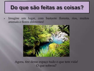  Imagine um lugar, com bastante floresta, rios, muitos
animais e flores diferentes!
Agora, tire desse espaço tudo o que tem vida!
O que sobrou?
 