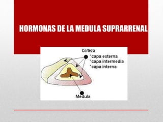 HORMONAS DE LA MEDULA SUPRARRENAL
 