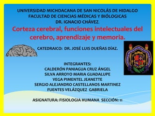 UNIVERSIDAD MICHOACANA DE SAN NICOLÁS DE HIDALGO
     FACULTAD DE CIENCIAS MÉDICAS Y BIÓLOGICAS
                DR. IGNACIO CHÁVEZ.
Corteza cerebral, funciones intelectuales del
     cerebro, aprendizaje y memoria.
         CATEDRAICO: DR. JOSÉ LUIS DUEÑAS DÍAZ.


                    INTEGRANTES:
           CALDERÓN PANIAGUA CRUZ ÁNGEL
           SILVA ARROYO MARIA GUADALUPE
               VEGA PIMENTEL JEANETTE
       SERGIO ALEJANDRO CASTELLANOS MARTINEZ
             FUENTES VELÁZQUEZ GABRIELA

       ASIGNATURA: FISIOLOGIA HUMANA SECCIÓN: 11
 