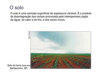 O solo
  O solo é uma camada superficial de espessura variável. É o produto
  da desintegração das rochas provocada pelo intemperismo (ação
  da água, do calor e do frio, e dos seres vivos).


                  Kim-Ir-Sem




Solo de terra roxa em
  Sertãozinho, SP.
 