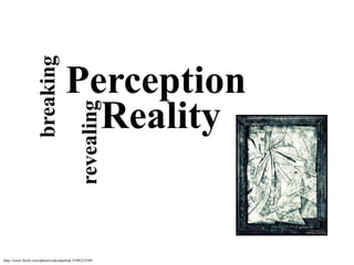 breaking Perception Reality revealing http://www.flickr.com/photos/rakeshashok/3198323549/ 