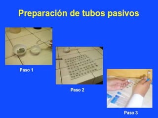 Cap ii monitoreo de la calidad de aire-2021