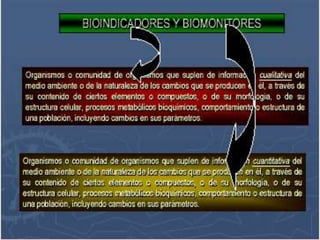 Cap ii monitoreo de la calidad de aire-2021