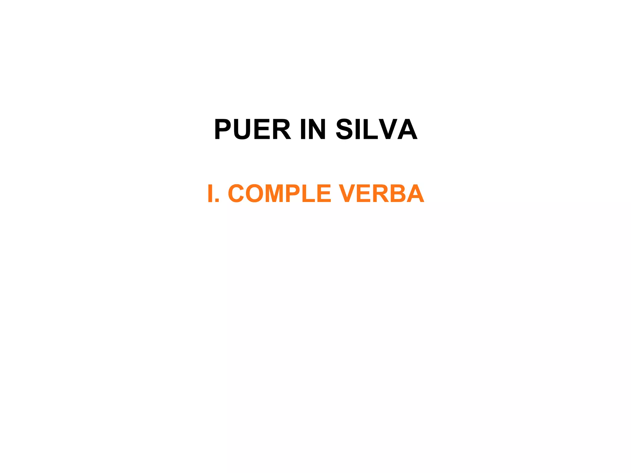 PUER IN SILVA I. COMPLE VERBA 