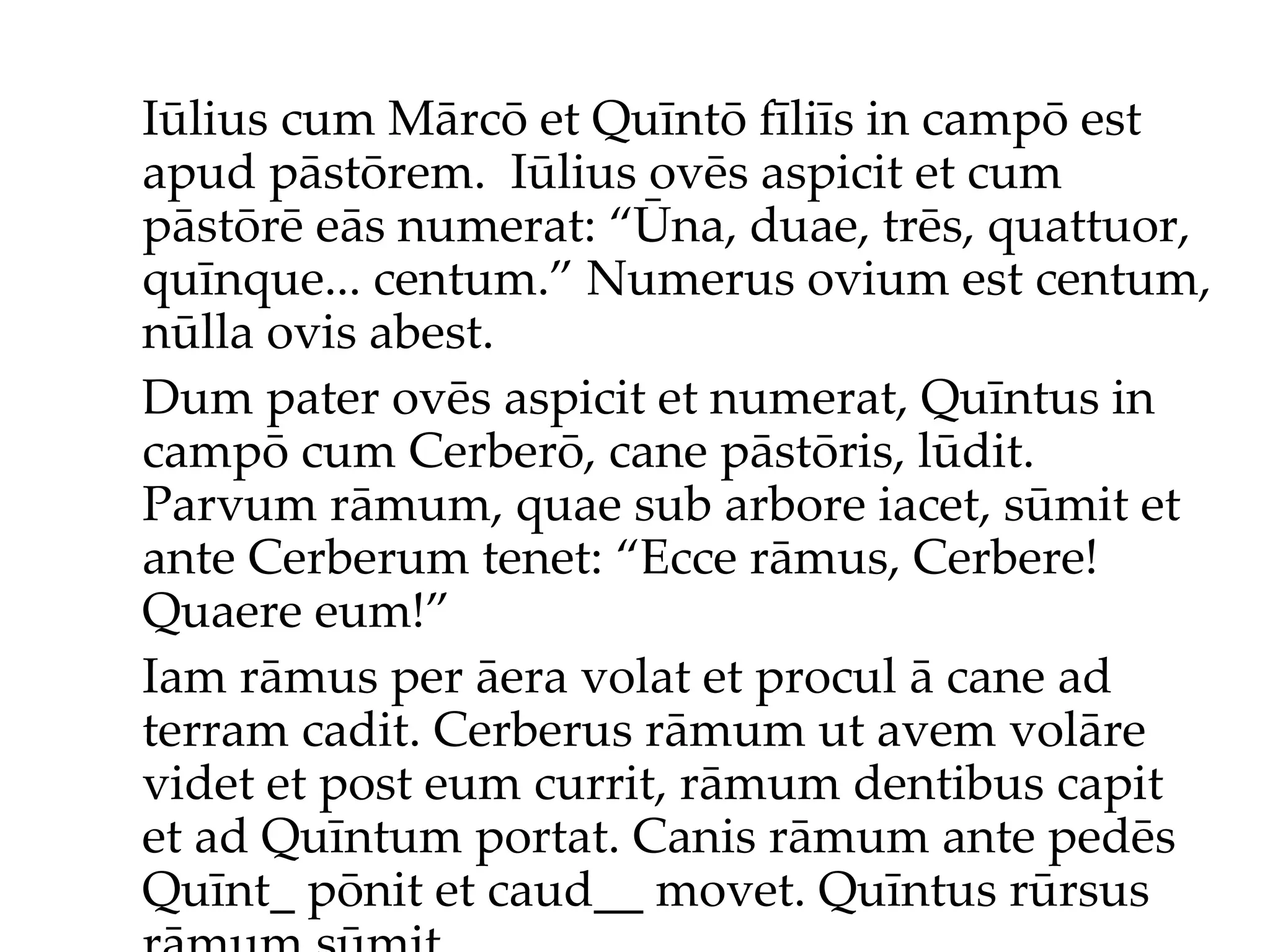 Iūlius cum Mārcō et Quīntō fīliīs in campō est apud pāstōrem.  Iūlius ov ēs  aspicit et cum pāstōr ē  eās numerat: “Ūna, duae, trēs, quattuor, quīnque... centum.”  Numerus ovium est centum, nūlla ovis abest. Dum pater ovēs aspicit et numerat, Quīntus in campō cum Cerberō, cane pāstōris, lūdit. Parvum rāmum, quae sub arbore iacet, sūmit et ante Cerberum tenet: “Ecce rāmus, Cerbere! Quaere eum!”  Iam rāmus per āera volat et procul ā cane ad terram cadit. Cerberus rāmum ut avem volāre videt et post eum currit, rāmum dentibus capit et ad Quīntum portat. Canis rāmum ante pedēs Quīnt_ pōnit et caud__ movet. Quīntus rūrsus rāmum sūmit... 