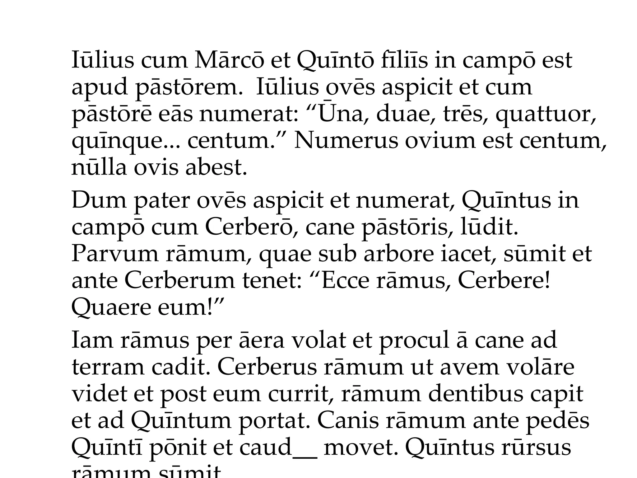 Iūlius cum Mārcō et Quīntō fīliīs in campō est apud pāstōrem.  Iūlius ov ēs  aspicit et cum pāstōr ē  eās numerat: “Ūna, duae, trēs, quattuor, quīnque... centum.”  Numerus ovium est centum, nūlla ovis abest. Dum pater ovēs aspicit et numerat, Quīntus in campō cum Cerberō, cane pāstōris, lūdit. Parvum rāmum, quae sub arbore iacet, sūmit et ante Cerberum tenet: “Ecce rāmus, Cerbere! Quaere eum!”  Iam rāmus per āera volat et procul ā cane ad terram cadit. Cerberus rāmum ut avem volāre videt et post eum currit, rāmum dentibus capit et ad Quīntum portat. Canis rāmum ante pedēs Quīntī pōnit et caud__ movet. Quīntus rūrsus rāmum sūmit... 