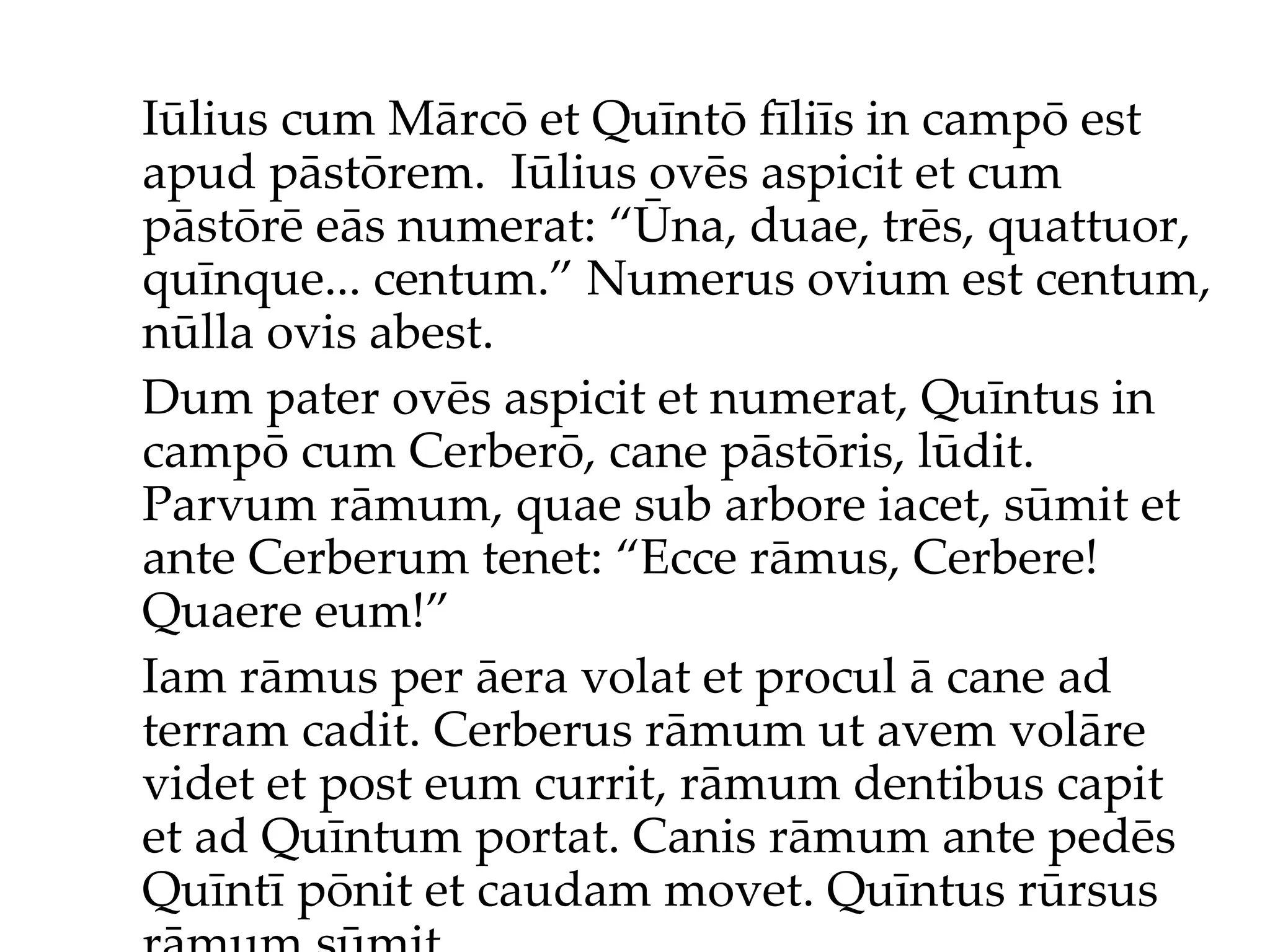 Iūlius cum Mārcō et Quīntō fīliīs in campō est apud pāstōrem.  Iūlius ov ēs  aspicit et cum pāstōr ē  eās numerat: “Ūna, duae, trēs, quattuor, quīnque... centum.”  Numerus ovium est centum, nūlla ovis abest. Dum pater ovēs aspicit et numerat, Quīntus in campō cum Cerberō, cane pāstōris, lūdit. Parvum rāmum, quae sub arbore iacet, sūmit et ante Cerberum tenet: “Ecce rāmus, Cerbere! Quaere eum!”  Iam rāmus per āera volat et procul ā cane ad terram cadit. Cerberus rāmum ut avem volāre videt et post eum currit, rāmum dentibus capit et ad Quīntum portat. Canis rāmum ante pedēs Quīntī pōnit et caudam movet. Quīntus rūrsus rāmum sūmit... 