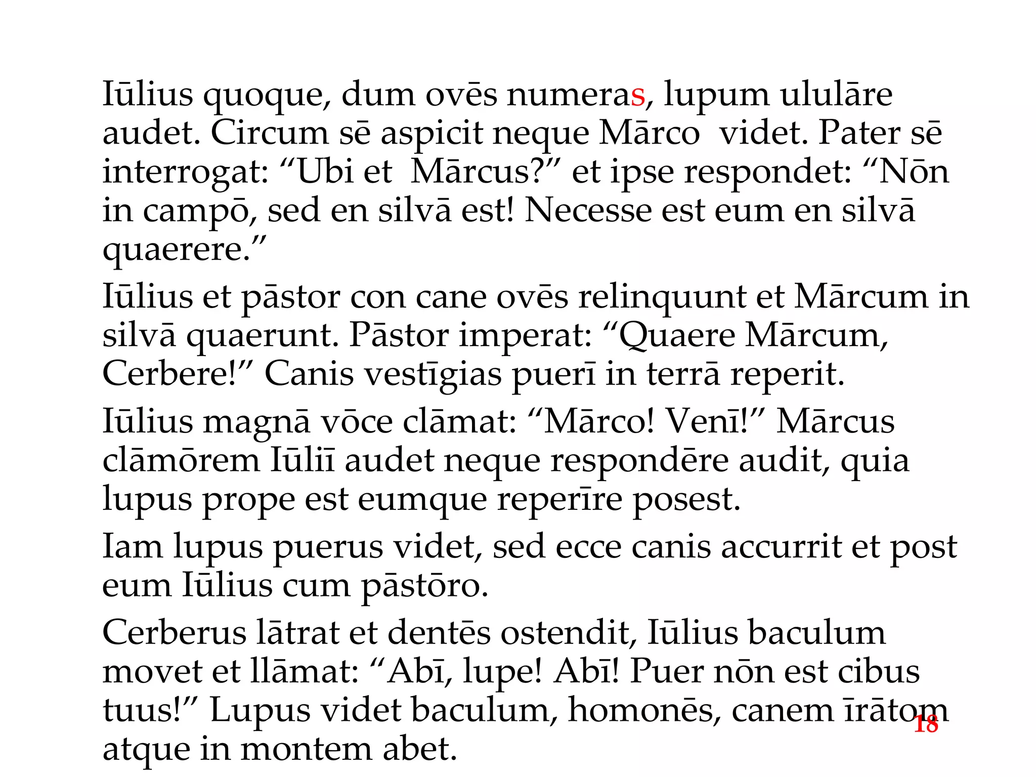 Iūlius quoque, dum ovēs numera s , lupum ululāre audet. Circum sē aspicit neque Mārco  videt. Pater sē interrogat: “Ubi et  Mārcus?” et ipse respondet: “Nōn in campō, sed en silvā est! Necesse est eum en silvā quaerere.” Iūlius et pāstor con cane ovēs relinquunt et Mārcum in silvā quaerunt. Pāstor imperat: “Quaere Mārcum, Cerbere!” Canis vestīgias puerī in terrā reperit. Iūlius magnā vōce clāmat: “Mārco! Venī!” Mārcus clāmōrem Iūliī audet neque respondēre audit, quia lupus prope est eumque reperīre posest. Iam lupus puerus videt, sed ecce canis accurrit et post eum Iūlius cum pāstōro. Cerberus lātrat et dentēs ostendit, Iūlius baculum movet et llāmat: “Abī, lupe! Abī! Puer nōn est cibus tuus!” Lupus videt baculum, homonēs, canem īrātom atque in montem abet. 18 
