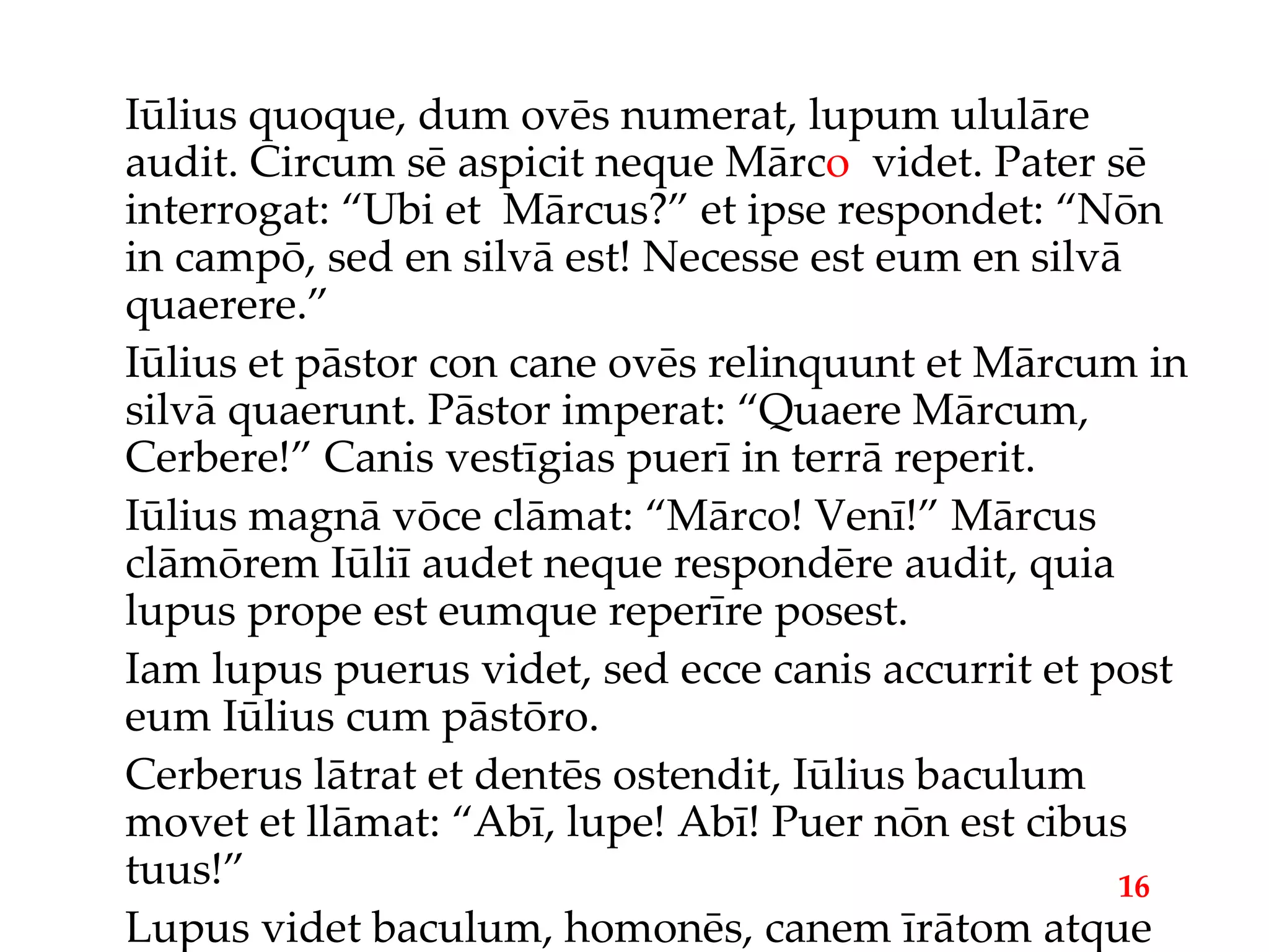 Iūlius quoque, dum ovēs numerat, lupum ululāre audit. Circum sē aspicit neque Mārc o   videt. Pater sē interrogat: “Ubi et  Mārcus?” et ipse respondet: “Nōn in campō, sed en silvā est! Necesse est eum en silvā quaerere.” Iūlius et pāstor con cane ovēs relinquunt et Mārcum in silvā quaerunt. Pāstor imperat: “Quaere Mārcum, Cerbere!” Canis vestīgias puerī in terrā reperit. Iūlius magnā vōce clāmat: “Mārco! Venī!” Mārcus clāmōrem Iūliī audet neque respondēre audit, quia lupus prope est eumque reperīre posest. Iam lupus puerus videt, sed ecce canis accurrit et post eum Iūlius cum pāstōro. Cerberus lātrat et dentēs ostendit, Iūlius baculum movet et llāmat: “Abī, lupe! Abī! Puer nōn est cibus tuus!” Lupus videt baculum, homonēs, canem īrātom atque in montem abet. 16 