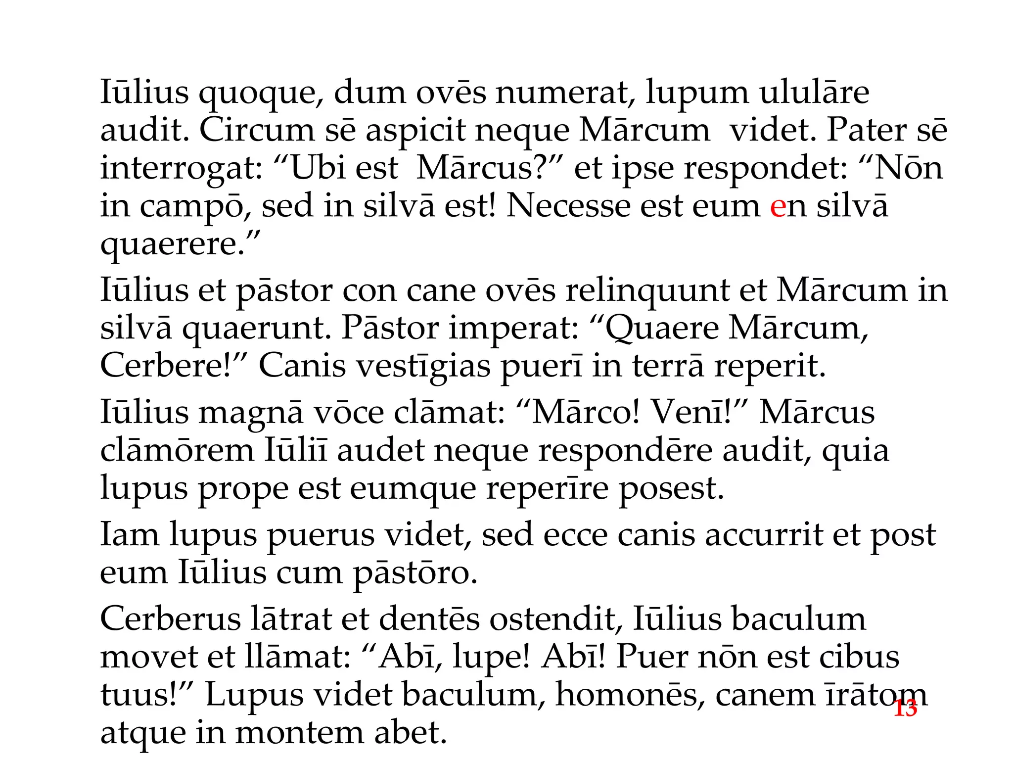 Iūlius quoque, dum ovēs numerat, lupum ululāre audit. Circum sē aspicit neque Mārcum  videt. Pater sē interrogat: “Ubi est  Mārcus?” et ipse respondet: “Nōn in campō, sed in silvā est! Necesse est eum  e n silvā quaerere.” Iūlius et pāstor con cane ovēs relinquunt et Mārcum in silvā quaerunt. Pāstor imperat: “Quaere Mārcum, Cerbere!” Canis vestīgias puerī in terrā reperit. Iūlius magnā vōce clāmat: “Mārco! Venī!” Mārcus clāmōrem Iūliī audet neque respondēre audit, quia lupus prope est eumque reperīre posest. Iam lupus puerus videt, sed ecce canis accurrit et post eum Iūlius cum pāstōro. Cerberus lātrat et dentēs ostendit, Iūlius baculum movet et llāmat: “Abī, lupe! Abī! Puer nōn est cibus tuus!” Lupus videt baculum, homonēs, canem īrātom atque in montem abet. 13 