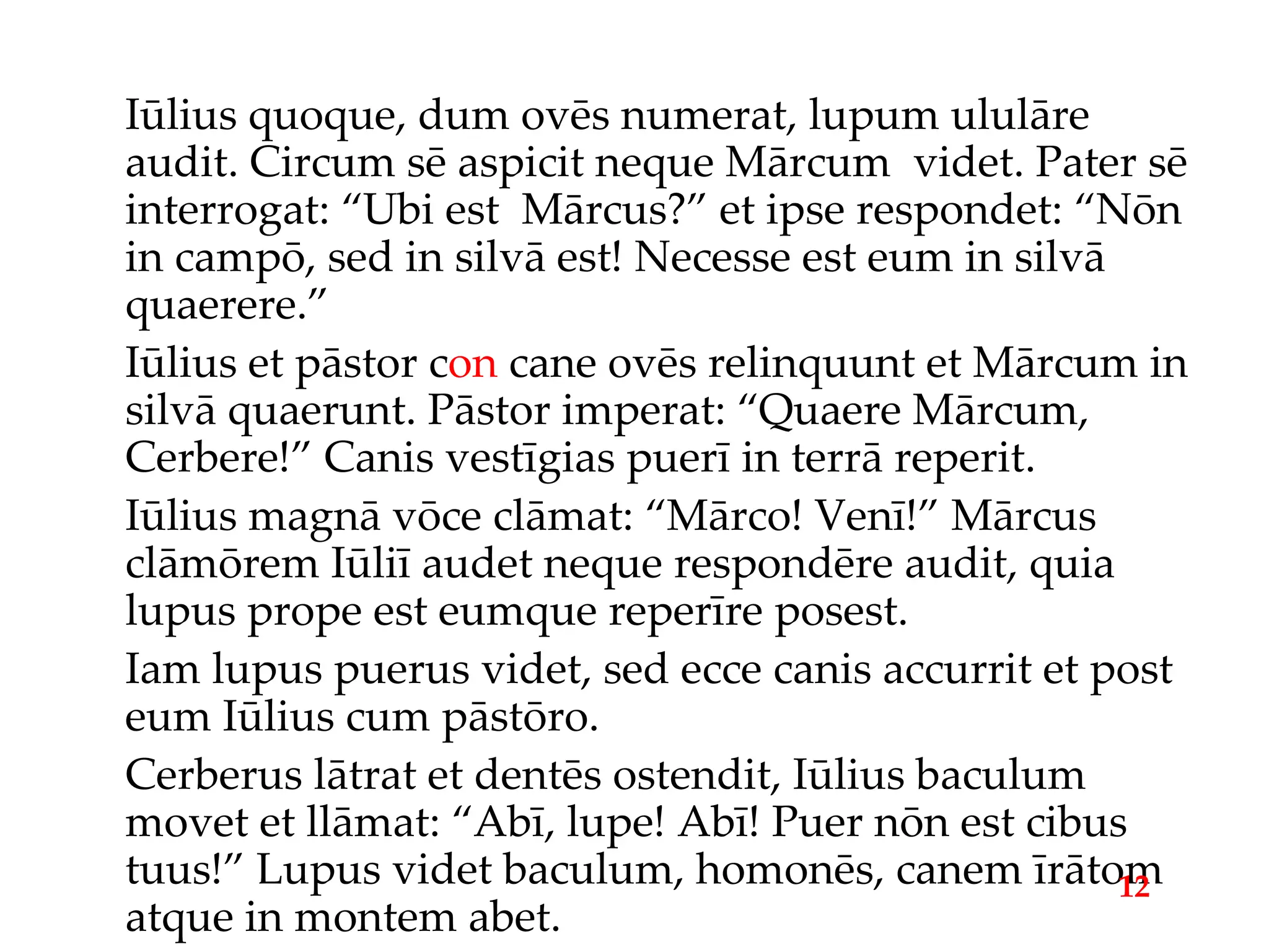 Iūlius quoque, dum ovēs numerat, lupum ululāre audit. Circum sē aspicit neque Mārcum  videt. Pater sē interrogat: “Ubi est  Mārcus?” et ipse respondet: “Nōn in campō, sed in silvā est! Necesse est eum in silvā quaerere.” Iūlius et pāstor c on  cane ovēs relinquunt et Mārcum in silvā quaerunt. Pāstor imperat: “Quaere Mārcum, Cerbere!” Canis vestīgias puerī in terrā reperit. Iūlius magnā vōce clāmat: “Mārco! Venī!” Mārcus clāmōrem Iūliī audet neque respondēre audit, quia lupus prope est eumque reperīre posest. Iam lupus puerus videt, sed ecce canis accurrit et post eum Iūlius cum pāstōro. Cerberus lātrat et dentēs ostendit, Iūlius baculum movet et llāmat: “Abī, lupe! Abī! Puer nōn est cibus tuus!” Lupus videt baculum, homonēs, canem īrātom atque in montem abet. 12 