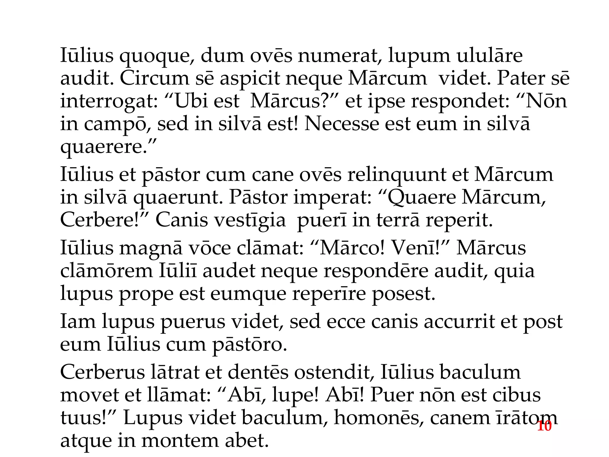 Iūlius quoque, dum ovēs numerat, lupum ululāre audit. Circum sē aspicit neque Mārcum  videt. Pater sē interrogat: “Ubi est  Mārcus?” et ipse respondet: “Nōn in campō, sed in silvā est! Necesse est eum in silvā quaerere.” Iūlius et pāstor cum cane ovēs relinquunt et Mārcum in silvā quaerunt. Pāstor imperat: “Quaere Mārcum, Cerbere!” Canis vestīgia  puerī in terrā reperit. Iūlius magnā vōce clāmat: “Mārco! Venī!” Mārcus clāmōrem Iūliī audet neque respondēre audit, quia lupus prope est eumque reperīre posest. Iam lupus puerus videt, sed ecce canis accurrit et post eum Iūlius cum pāstōro. Cerberus lātrat et dentēs ostendit, Iūlius baculum movet et llāmat: “Abī, lupe! Abī! Puer nōn est cibus tuus!” Lupus videt baculum, homonēs, canem īrātom atque in montem abet. 10 
