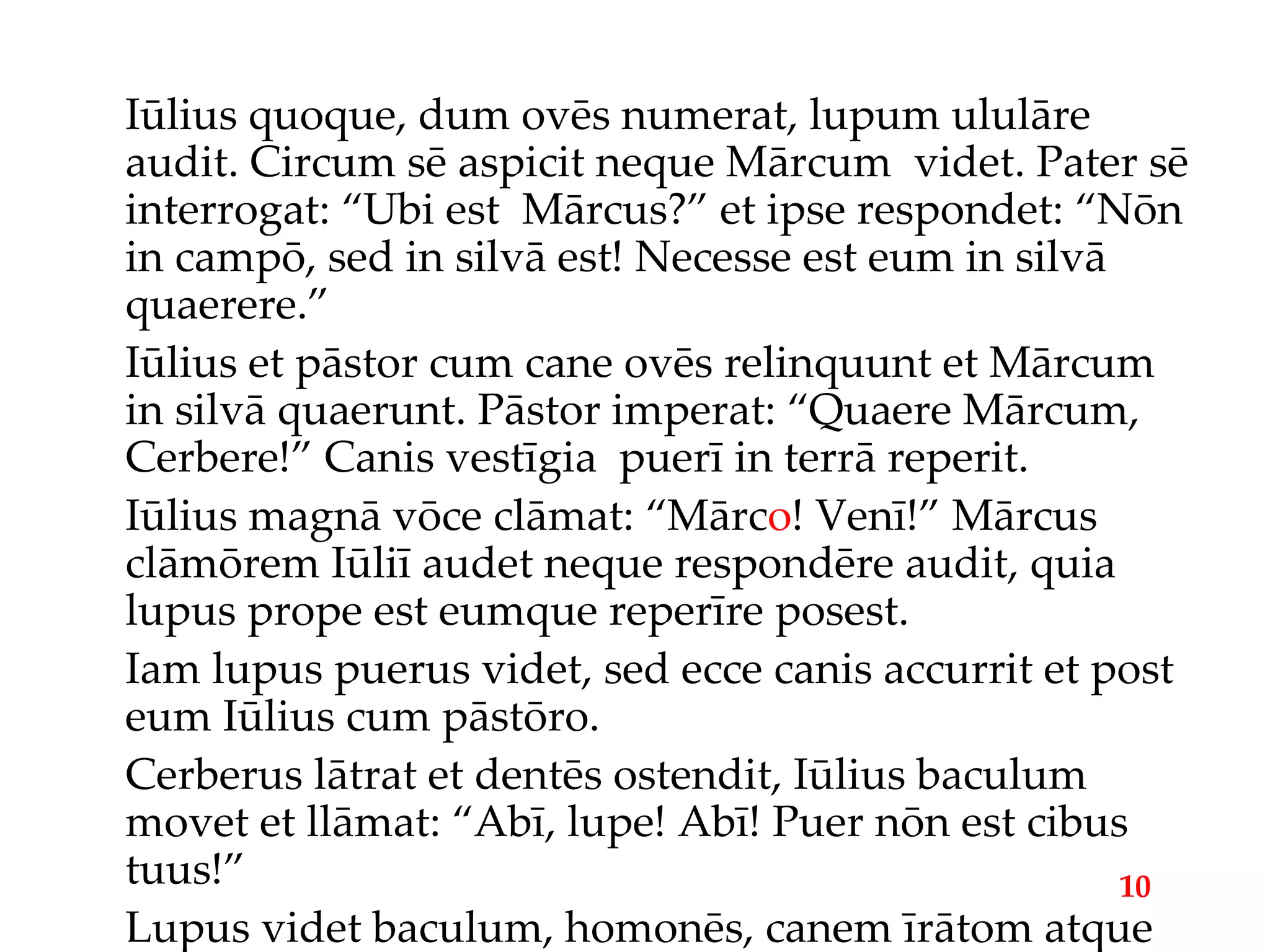 Iūlius quoque, dum ovēs numerat, lupum ululāre audit. Circum sē aspicit neque Mārcum  videt. Pater sē interrogat: “Ubi est  Mārcus?” et ipse respondet: “Nōn in campō, sed in silvā est! Necesse est eum in silvā quaerere.” Iūlius et pāstor cum cane ovēs relinquunt et Mārcum in silvā quaerunt. Pāstor imperat: “Quaere Mārcum, Cerbere!” Canis vestīgia  puerī in terrā reperit. Iūlius magnā vōce clāmat: “Mārc o ! Venī!” Mārcus clāmōrem Iūliī audet neque respondēre audit, quia lupus prope est eumque reperīre posest. Iam lupus puerus videt, sed ecce canis accurrit et post eum Iūlius cum pāstōro. Cerberus lātrat et dentēs ostendit, Iūlius baculum movet et llāmat: “Abī, lupe! Abī! Puer nōn est cibus tuus!” Lupus videt baculum, homonēs, canem īrātom atque in montem abet. 10 