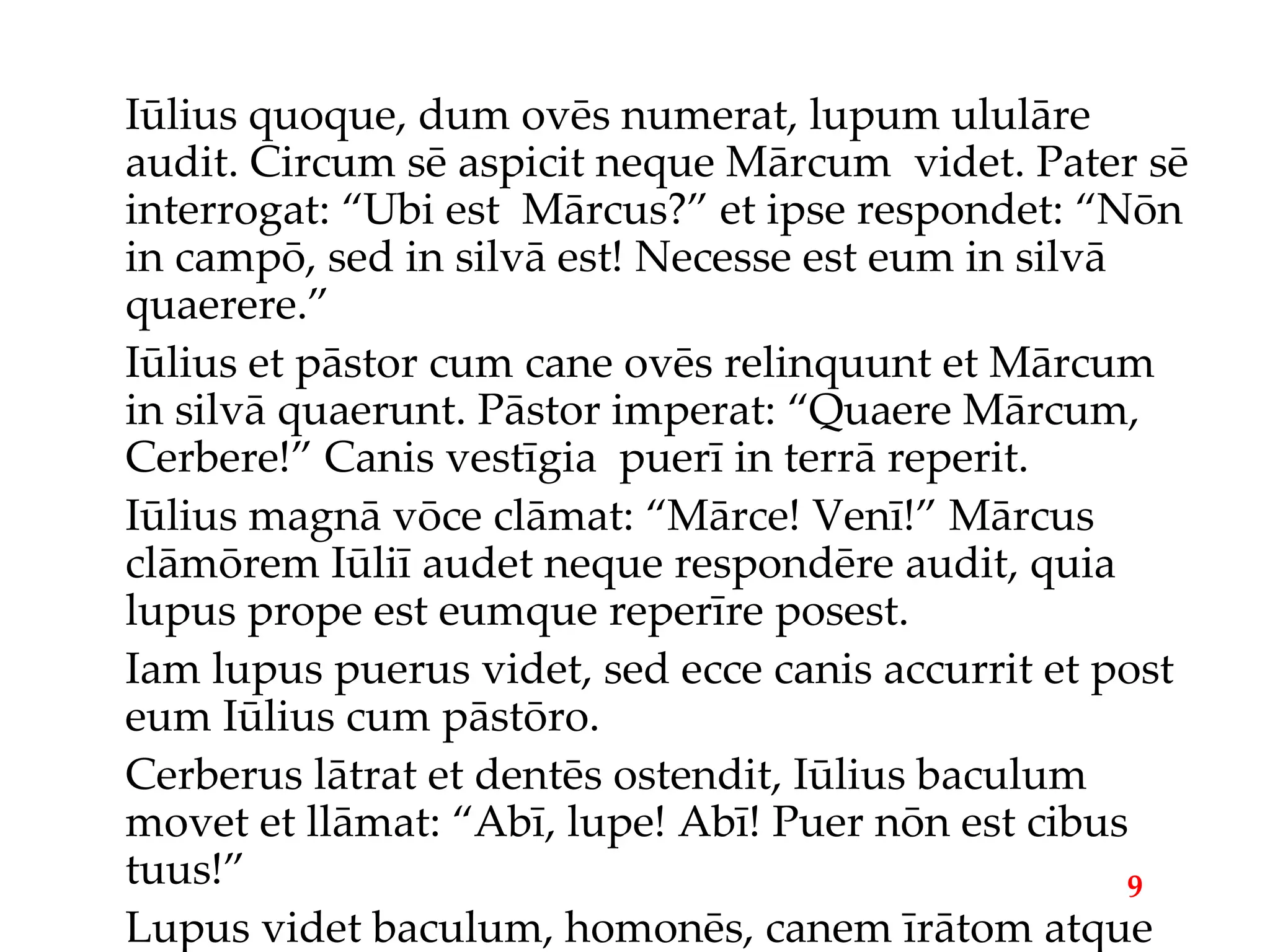 Iūlius quoque, dum ovēs numerat, lupum ululāre audit. Circum sē aspicit neque Mārcum  videt. Pater sē interrogat: “Ubi est  Mārcus?” et ipse respondet: “Nōn in campō, sed in silvā est! Necesse est eum in silvā quaerere.” Iūlius et pāstor cum cane ovēs relinquunt et Mārcum in silvā quaerunt. Pāstor imperat: “Quaere Mārcum, Cerbere!” Canis vestīgia  puerī in terrā reperit. Iūlius magnā vōce clāmat: “Mārce! Venī!” Mārcus clāmōrem Iūliī audet neque respondēre audit, quia lupus prope est eumque reperīre posest. Iam lupus puerus videt, sed ecce canis accurrit et post eum Iūlius cum pāstōro. Cerberus lātrat et dentēs ostendit, Iūlius baculum movet et llāmat: “Abī, lupe! Abī! Puer nōn est cibus tuus!” Lupus videt baculum, homonēs, canem īrātom atque in montem abet. 9 