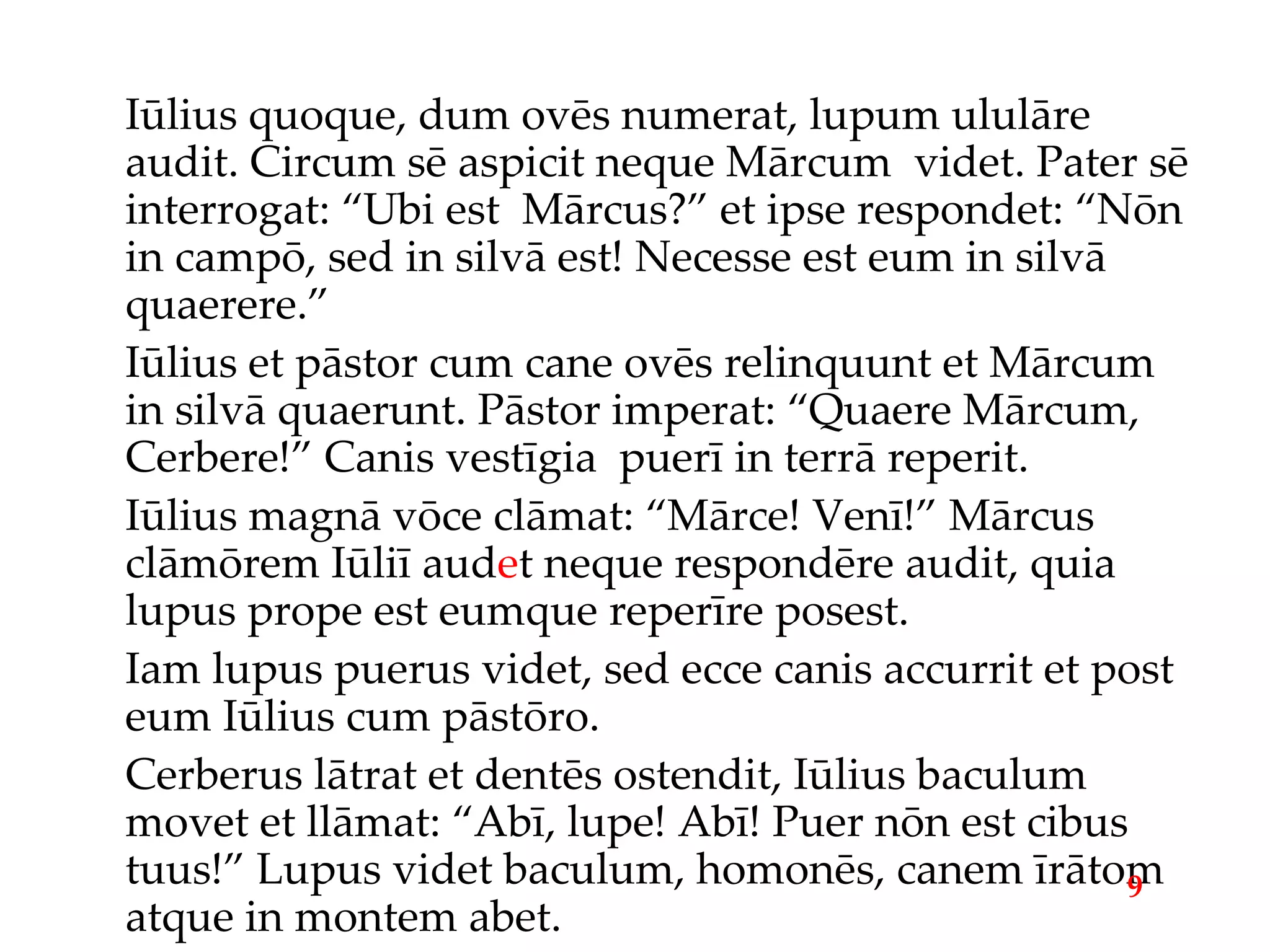 Iūlius quoque, dum ovēs numerat, lupum ululāre audit. Circum sē aspicit neque Mārcum  videt. Pater sē interrogat: “Ubi est  Mārcus?” et ipse respondet: “Nōn in campō, sed in silvā est! Necesse est eum in silvā quaerere.” Iūlius et pāstor cum cane ovēs relinquunt et Mārcum in silvā quaerunt. Pāstor imperat: “Quaere Mārcum, Cerbere!” Canis vestīgia  puerī in terrā reperit. Iūlius magnā vōce clāmat: “Mārce! Venī!” Mārcus clāmōrem Iūliī aud e t neque respondēre audit, quia lupus prope est eumque reperīre posest. Iam lupus puerus videt, sed ecce canis accurrit et post eum Iūlius cum pāstōro. Cerberus lātrat et dentēs ostendit, Iūlius baculum movet et llāmat: “Abī, lupe! Abī! Puer nōn est cibus tuus!” Lupus videt baculum, homonēs, canem īrātom atque in montem abet. 9 