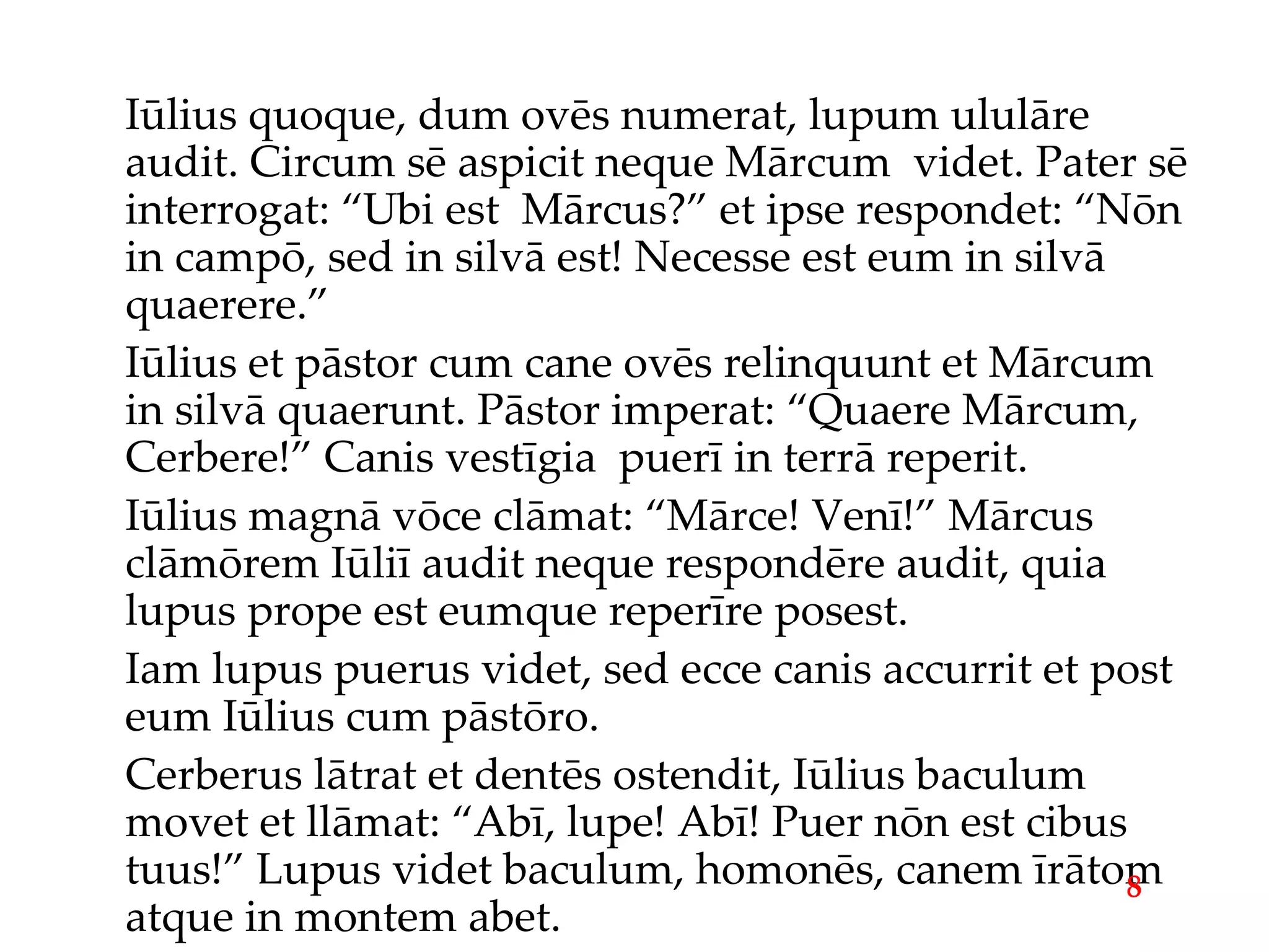 Iūlius quoque, dum ovēs numerat, lupum ululāre audit. Circum sē aspicit neque Mārcum  videt. Pater sē interrogat: “Ubi est  Mārcus?” et ipse respondet: “Nōn in campō, sed in silvā est! Necesse est eum in silvā quaerere.” Iūlius et pāstor cum cane ovēs relinquunt et Mārcum in silvā quaerunt. Pāstor imperat: “Quaere Mārcum, Cerbere!” Canis vestīgia  puerī in terrā reperit. Iūlius magnā vōce clāmat: “Mārce! Venī!” Mārcus clāmōrem Iūliī audit neque respondēre audit, quia lupus prope est eumque reperīre posest. Iam lupus puerus videt, sed ecce canis accurrit et post eum Iūlius cum pāstōro. Cerberus lātrat et dentēs ostendit, Iūlius baculum movet et llāmat: “Abī, lupe! Abī! Puer nōn est cibus tuus!” Lupus videt baculum, homonēs, canem īrātom atque in montem abet. 8 