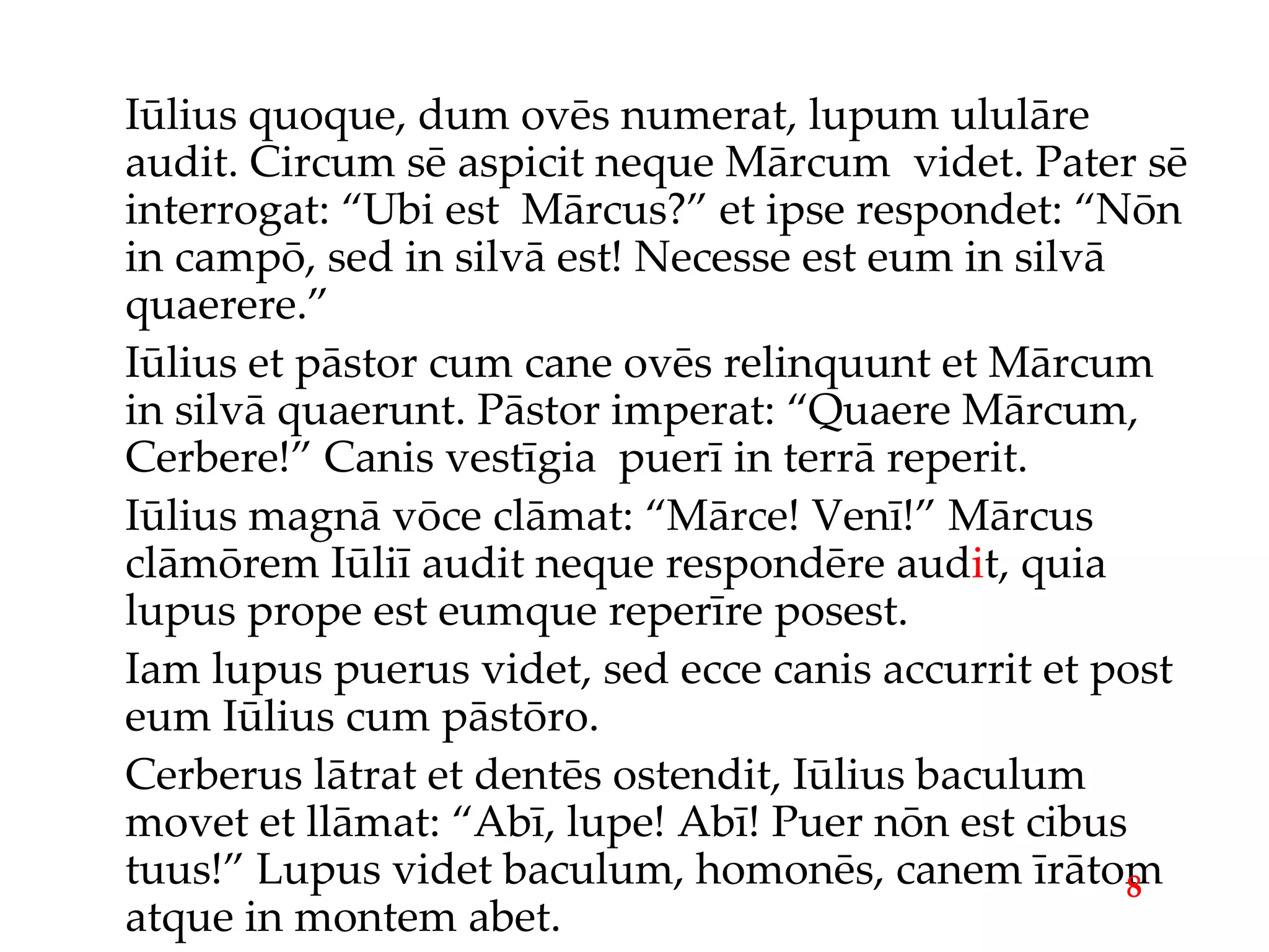 Iūlius quoque, dum ovēs numerat, lupum ululāre audit. Circum sē aspicit neque Mārcum  videt. Pater sē interrogat: “Ubi est  Mārcus?” et ipse respondet: “Nōn in campō, sed in silvā est! Necesse est eum in silvā quaerere.” Iūlius et pāstor cum cane ovēs relinquunt et Mārcum in silvā quaerunt. Pāstor imperat: “Quaere Mārcum, Cerbere!” Canis vestīgia  puerī in terrā reperit. Iūlius magnā vōce clāmat: “Mārce! Venī!” Mārcus clāmōrem Iūliī audit neque respondēre aud i t, quia lupus prope est eumque reperīre posest. Iam lupus puerus videt, sed ecce canis accurrit et post eum Iūlius cum pāstōro. Cerberus lātrat et dentēs ostendit, Iūlius baculum movet et llāmat: “Abī, lupe! Abī! Puer nōn est cibus tuus!” Lupus videt baculum, homonēs, canem īrātom atque in montem abet. 8 