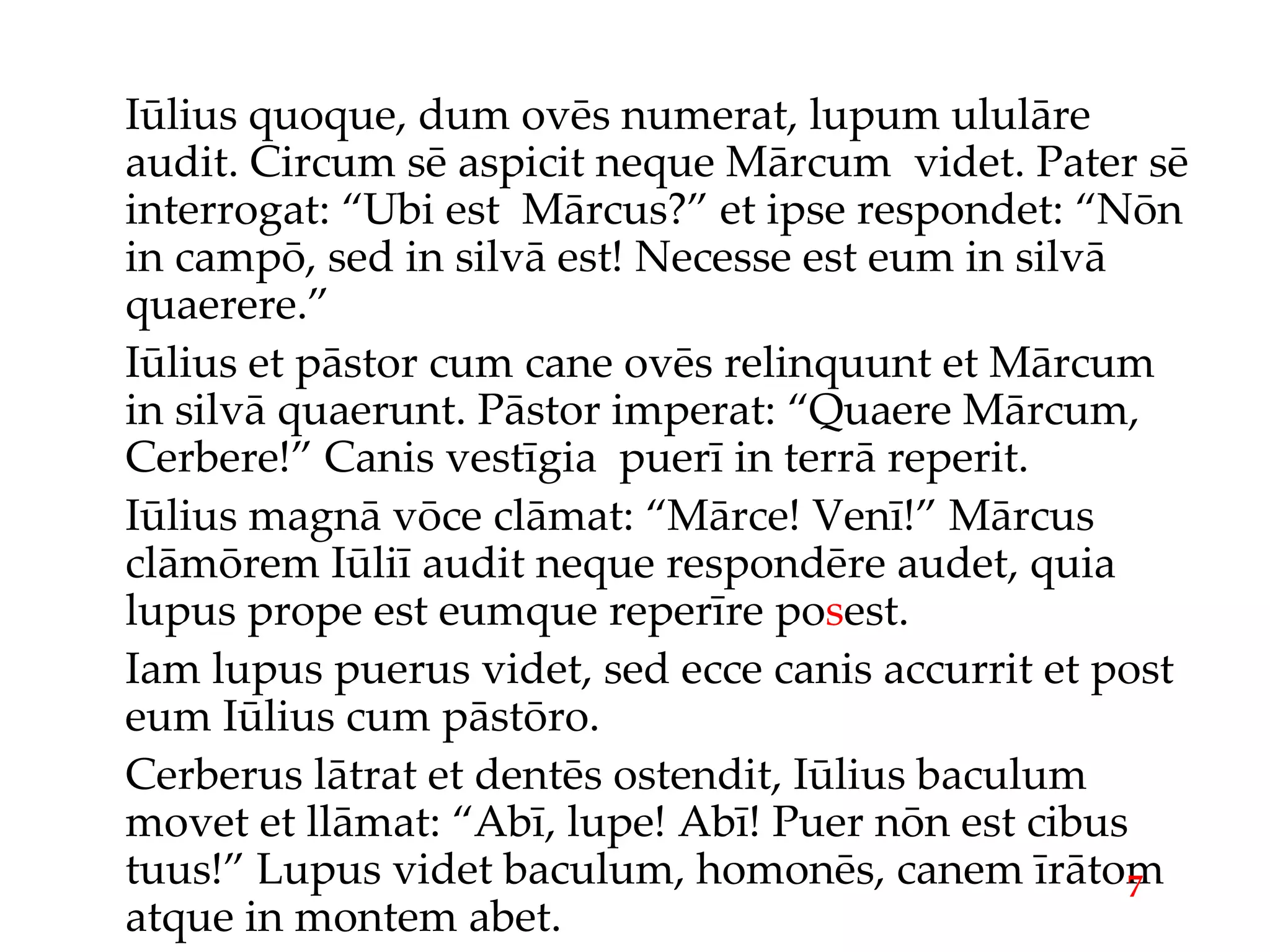Iūlius quoque, dum ovēs numerat, lupum ululāre audit. Circum sē aspicit neque Mārcum  videt. Pater sē interrogat: “Ubi est  Mārcus?” et ipse respondet: “Nōn in campō, sed in silvā est! Necesse est eum in silvā quaerere.” Iūlius et pāstor cum cane ovēs relinquunt et Mārcum in silvā quaerunt. Pāstor imperat: “Quaere Mārcum, Cerbere!” Canis vestīgia  puerī in terrā reperit. Iūlius magnā vōce clāmat: “Mārce! Venī!” Mārcus clāmōrem Iūliī audit neque respondēre audet, quia lupus prope est eumque reperīre po s est. Iam lupus puerus videt, sed ecce canis accurrit et post eum Iūlius cum pāstōro. Cerberus lātrat et dentēs ostendit, Iūlius baculum movet et llāmat: “Abī, lupe! Abī! Puer nōn est cibus tuus!” Lupus videt baculum, homonēs, canem īrātom atque in montem abet. 7 