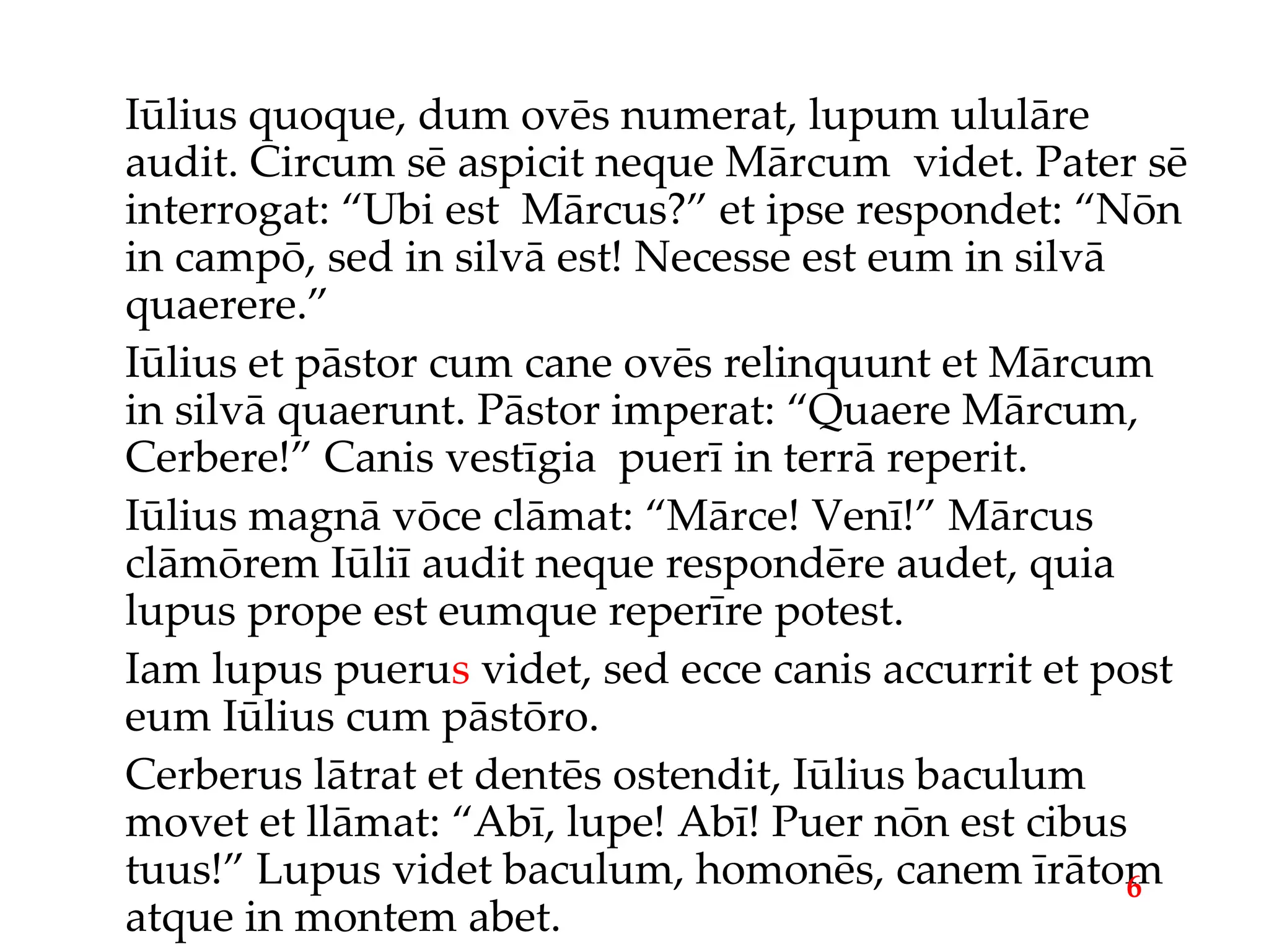 Iūlius quoque, dum ovēs numerat, lupum ululāre audit. Circum sē aspicit neque Mārcum  videt. Pater sē interrogat: “Ubi est  Mārcus?” et ipse respondet: “Nōn in campō, sed in silvā est! Necesse est eum in silvā quaerere.” Iūlius et pāstor cum cane ovēs relinquunt et Mārcum in silvā quaerunt. Pāstor imperat: “Quaere Mārcum, Cerbere!” Canis vestīgia  puerī in terrā reperit. Iūlius magnā vōce clāmat: “Mārce! Venī!” Mārcus clāmōrem Iūliī audit neque respondēre audet, quia lupus prope est eumque reperīre potest. Iam lupus pueru s  videt, sed ecce canis accurrit et post eum Iūlius cum pāstōro. Cerberus lātrat et dentēs ostendit, Iūlius baculum movet et llāmat: “Abī, lupe! Abī! Puer nōn est cibus tuus!” Lupus videt baculum, homonēs, canem īrātom atque in montem abet. 6 