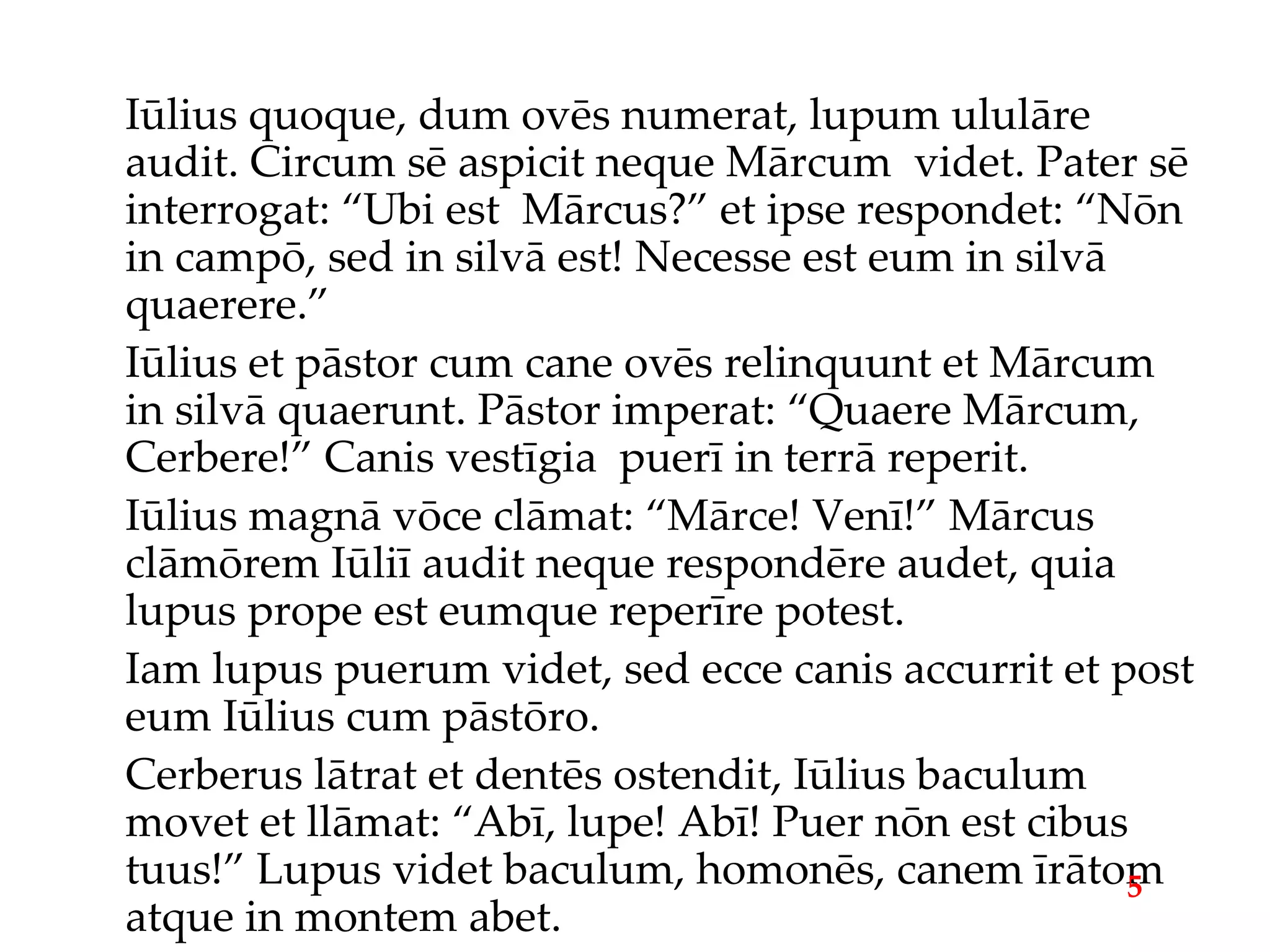 Iūlius quoque, dum ovēs numerat, lupum ululāre audit. Circum sē aspicit neque Mārcum  videt. Pater sē interrogat: “Ubi est  Mārcus?” et ipse respondet: “Nōn in campō, sed in silvā est! Necesse est eum in silvā quaerere.” Iūlius et pāstor cum cane ovēs relinquunt et Mārcum in silvā quaerunt. Pāstor imperat: “Quaere Mārcum, Cerbere!” Canis vestīgia  puerī in terrā reperit. Iūlius magnā vōce clāmat: “Mārce! Venī!” Mārcus clāmōrem Iūliī audit neque respondēre audet, quia lupus prope est eumque reperīre potest. Iam lupus puerum videt, sed ecce canis accurrit et post eum Iūlius cum pāstōro. Cerberus lātrat et dentēs ostendit, Iūlius baculum movet et llāmat: “Abī, lupe! Abī! Puer nōn est cibus tuus!” Lupus videt baculum, homonēs, canem īrātom atque in montem abet. 5 