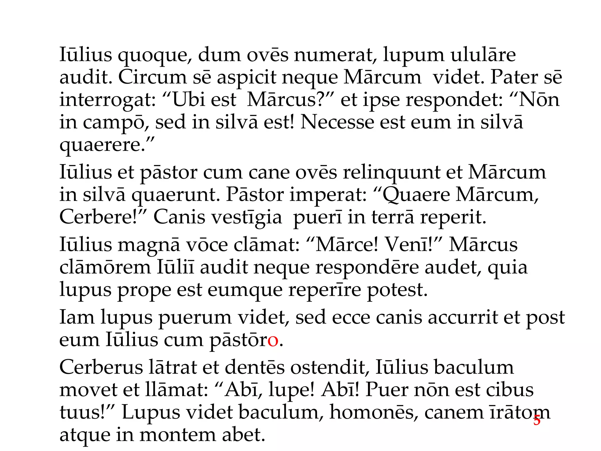 Iūlius quoque, dum ovēs numerat, lupum ululāre audit. Circum sē aspicit neque Mārcum  videt. Pater sē interrogat: “Ubi est  Mārcus?” et ipse respondet: “Nōn in campō, sed in silvā est! Necesse est eum in silvā quaerere.” Iūlius et pāstor cum cane ovēs relinquunt et Mārcum in silvā quaerunt. Pāstor imperat: “Quaere Mārcum, Cerbere!” Canis vestīgia  puerī in terrā reperit. Iūlius magnā vōce clāmat: “Mārce! Venī!” Mārcus clāmōrem Iūliī audit neque respondēre audet, quia lupus prope est eumque reperīre potest. Iam lupus puerum videt, sed ecce canis accurrit et post eum Iūlius cum pāstōr o . Cerberus lātrat et dentēs ostendit, Iūlius baculum movet et llāmat: “Abī, lupe! Abī! Puer nōn est cibus tuus!” Lupus videt baculum, homonēs, canem īrātom atque in montem abet. 5 