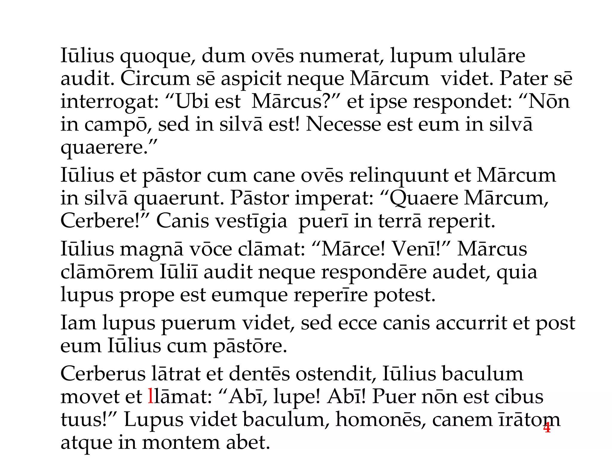 Iūlius quoque, dum ovēs numerat, lupum ululāre audit. Circum sē aspicit neque Mārcum  videt. Pater sē interrogat: “Ubi est  Mārcus?” et ipse respondet: “Nōn in campō, sed in silvā est! Necesse est eum in silvā quaerere.” Iūlius et pāstor cum cane ovēs relinquunt et Mārcum in silvā quaerunt. Pāstor imperat: “Quaere Mārcum, Cerbere!” Canis vestīgia  puerī in terrā reperit. Iūlius magnā vōce clāmat: “Mārce! Venī!” Mārcus clāmōrem Iūliī audit neque respondēre audet, quia lupus prope est eumque reperīre potest. Iam lupus puerum videt, sed ecce canis accurrit et post eum Iūlius cum pāstōre. Cerberus lātrat et dentēs ostendit, Iūlius baculum movet et  l lāmat: “Abī, lupe! Abī! Puer nōn est cibus tuus!” Lupus videt baculum, homonēs, canem īrātom atque in montem abet. 4 